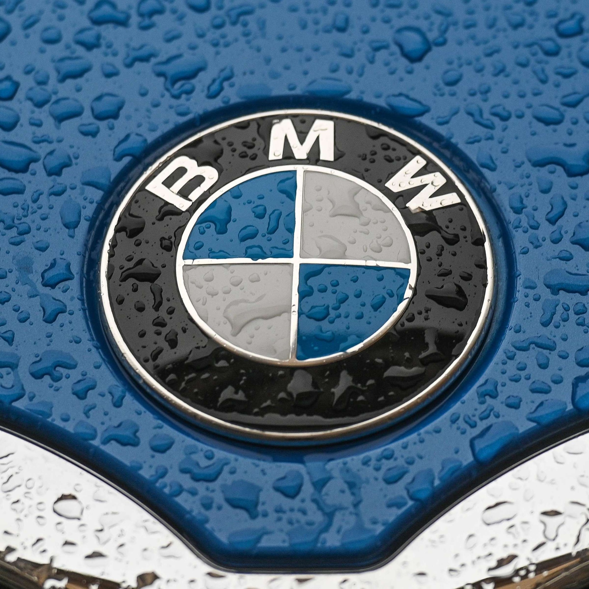 BMW Logo